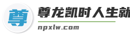 尊龙凯时人生就是博·(中国)bjl8