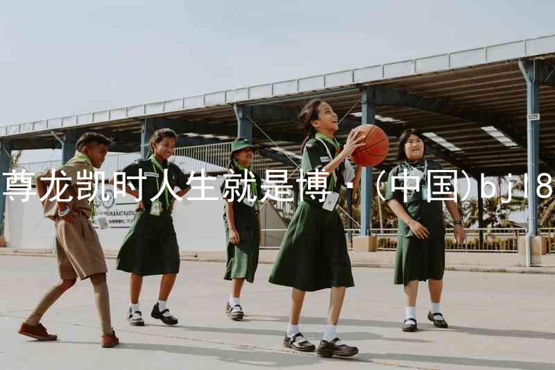 尊龙凯时人生就是博·(中国)bjl8